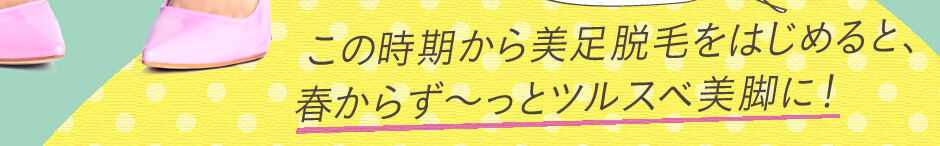 このキャンペーンで足脱毛をはじめると、春からず〜っとツルスベの美脚になれます！リッツでは、クリスマスキャンペーンとして「ひざ」、「ひざ下」、「足の甲」、「足の指」の４ヵ所１２回コースをたったの8,8００円でご提供します。クチコミでも大人気のリッツで、あなたもムダ毛のない美脚をお得に手に入れてみませんか？