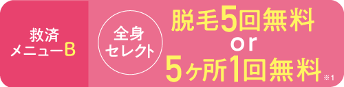 救済メニューB：11部位から1部位選べる脱毛10回